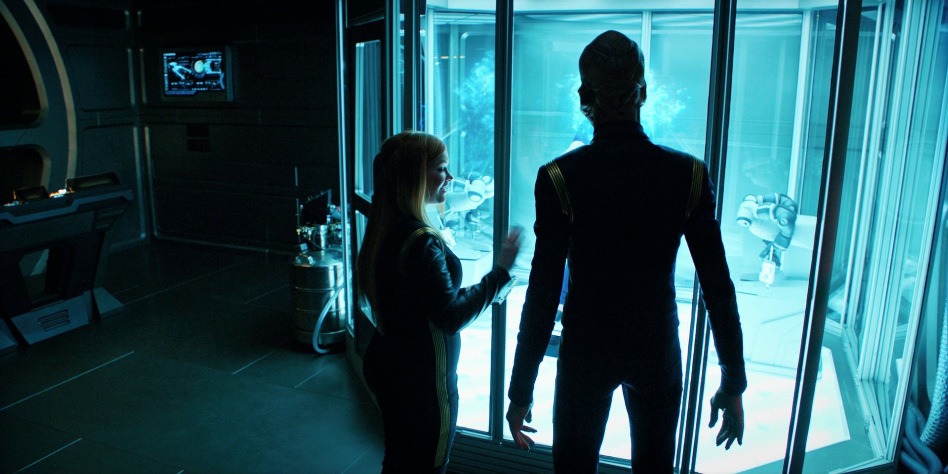 extant_StarTrekDiscovery_1x12-VaultingAmbition_0533.jpg