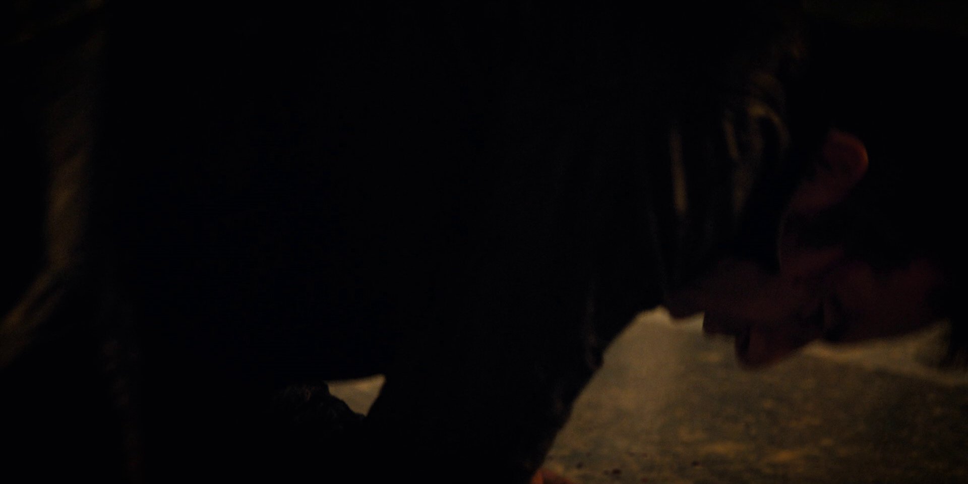 extant_StarTrekDiscovery_1x12-VaultingAmbition_1139.jpg