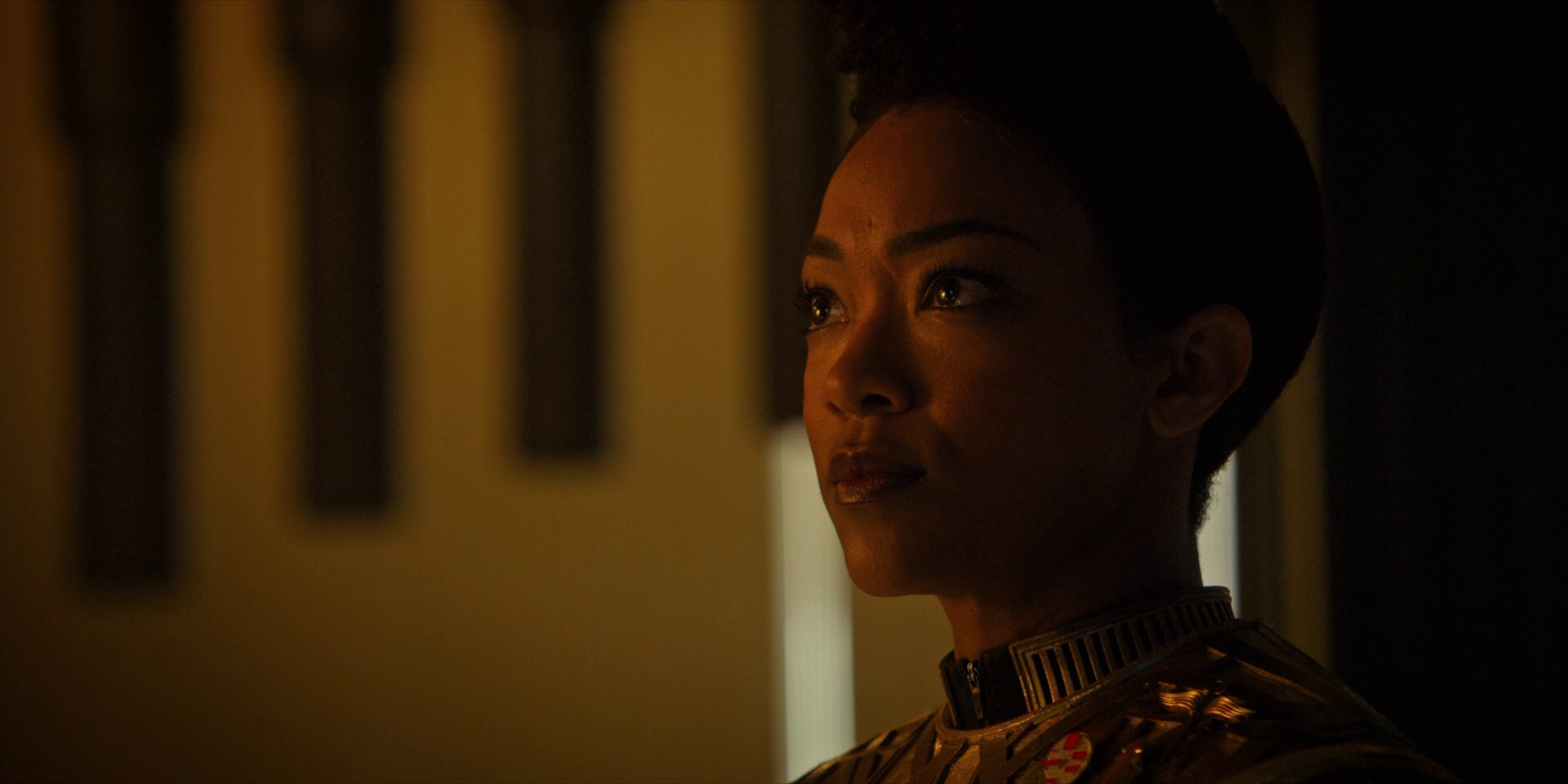 extant_StarTrekDiscovery_1x12-VaultingAmbition_2057.jpg