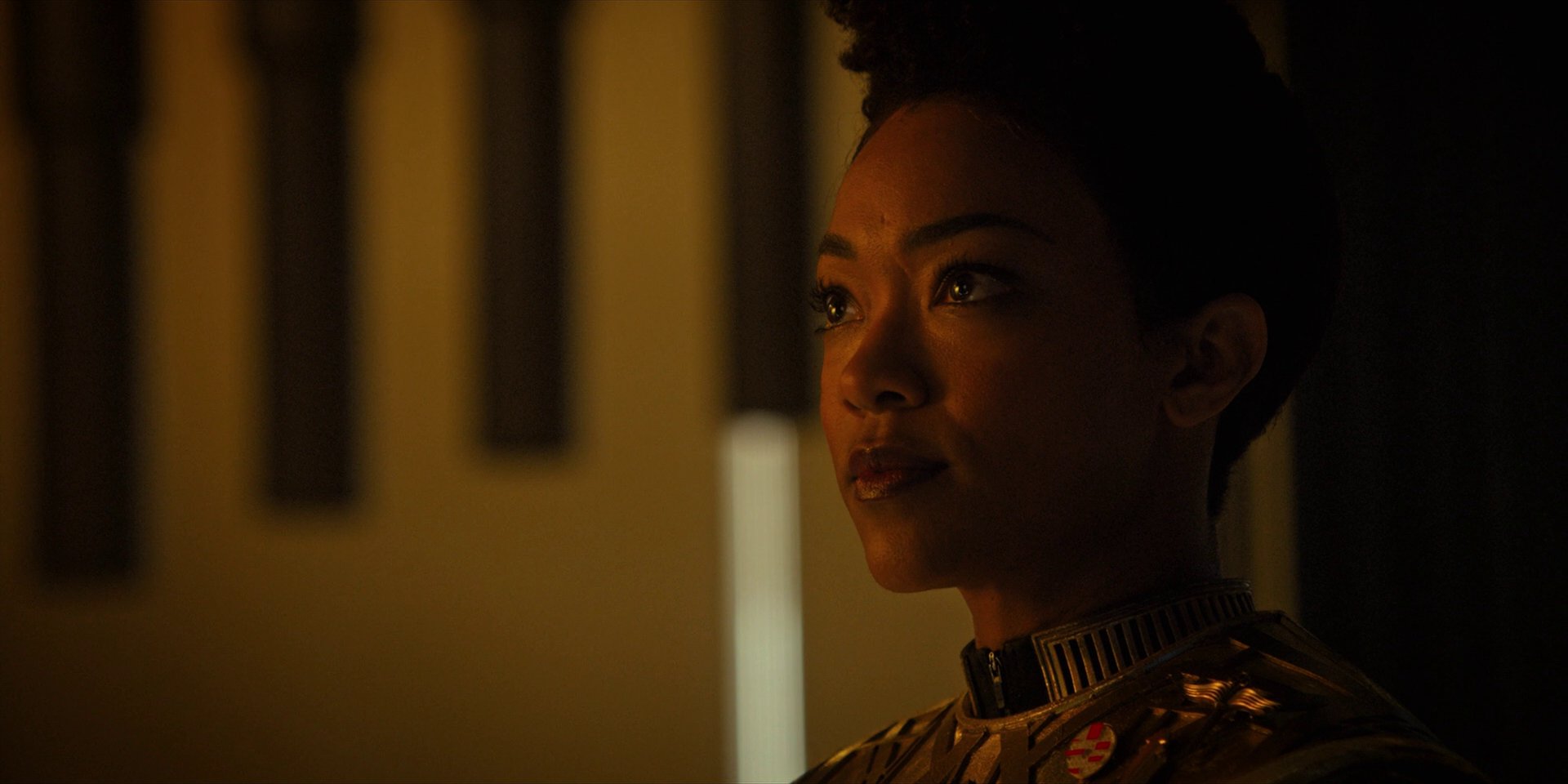extant_StarTrekDiscovery_1x12-VaultingAmbition_2058.jpg