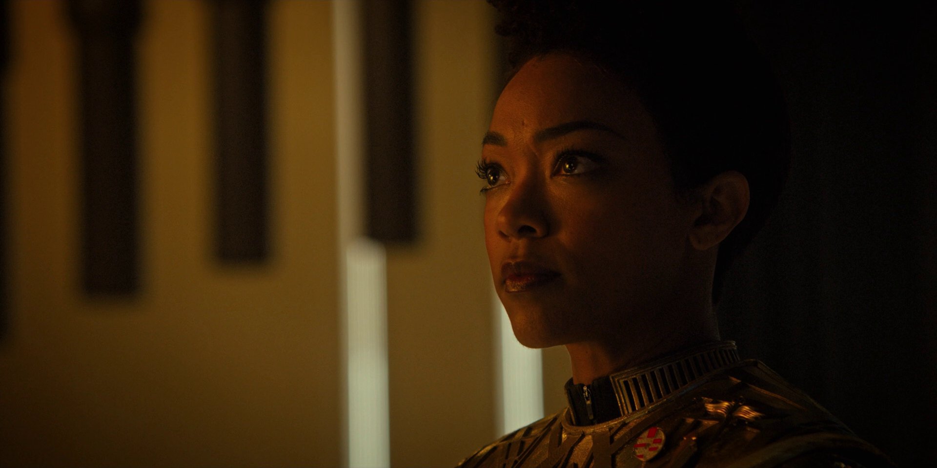 extant_StarTrekDiscovery_1x12-VaultingAmbition_2062.jpg