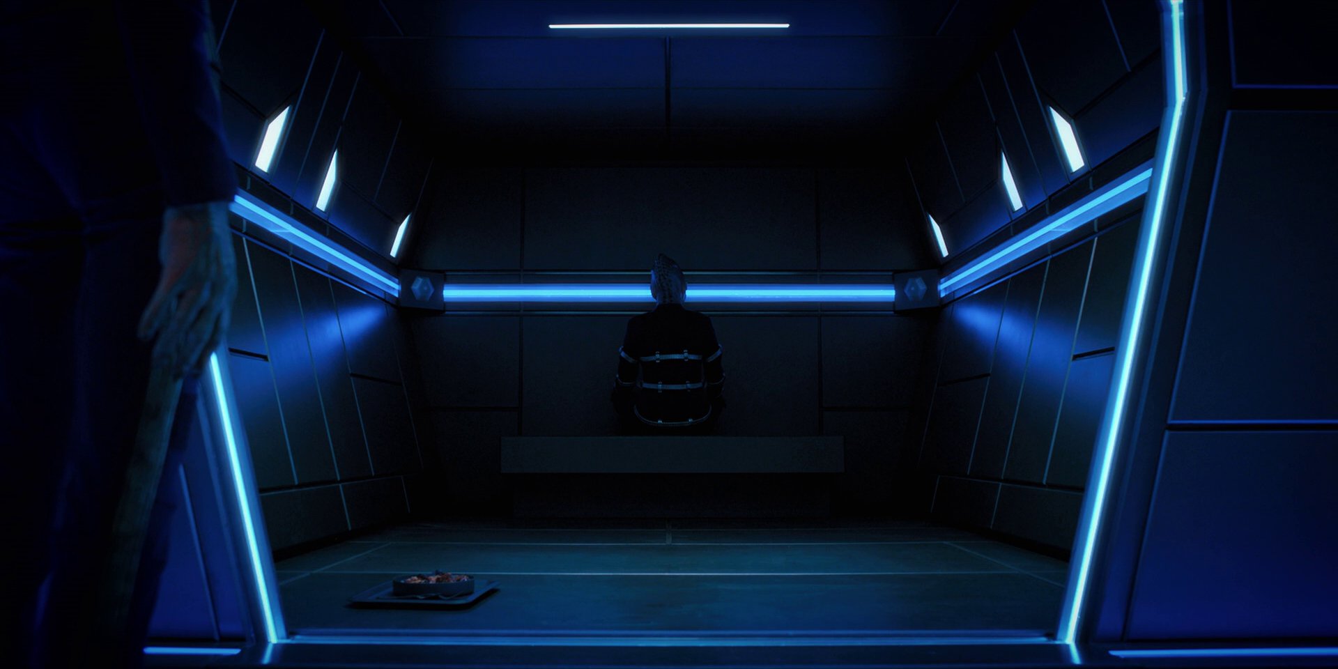 extant_StarTrekDiscovery_1x12-VaultingAmbition_2108.jpg