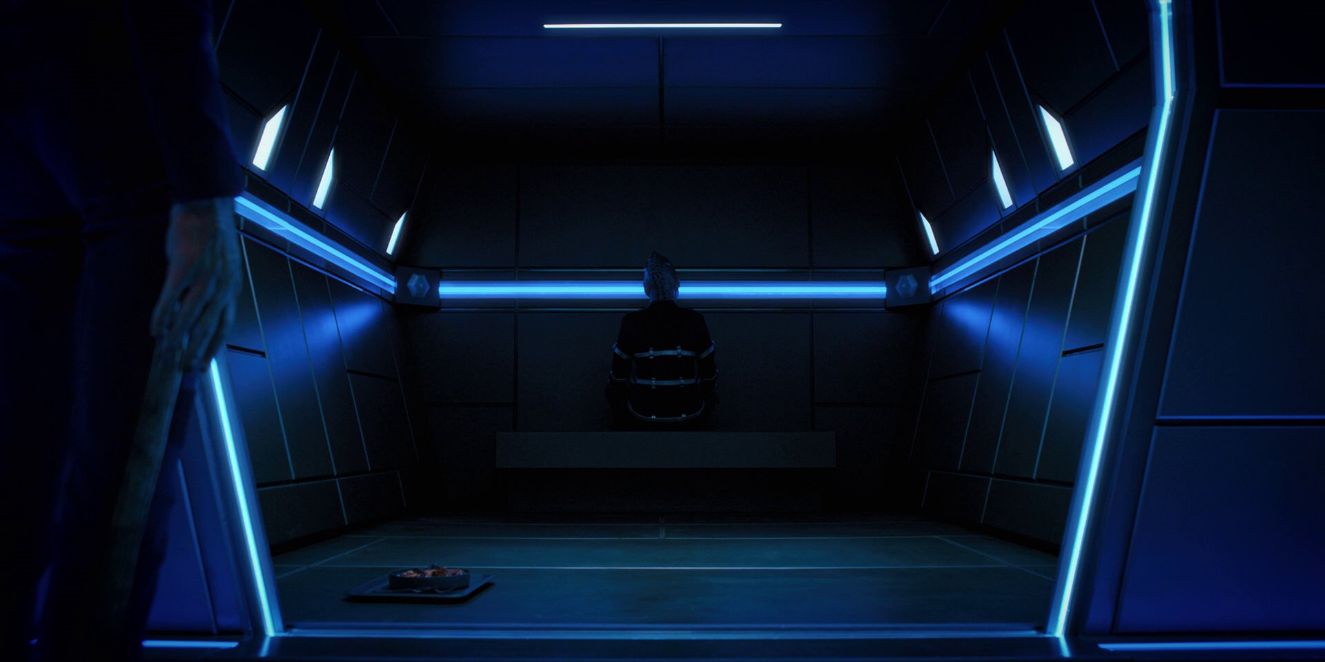 extant_StarTrekDiscovery_1x12-VaultingAmbition_2109.jpg