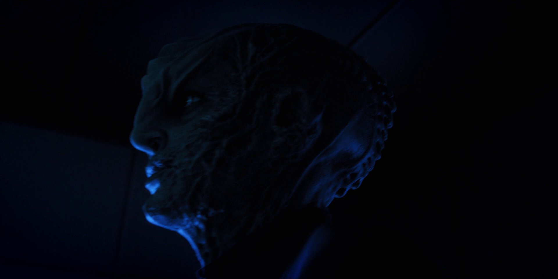 extant_StarTrekDiscovery_1x12-VaultingAmbition_2132.jpg