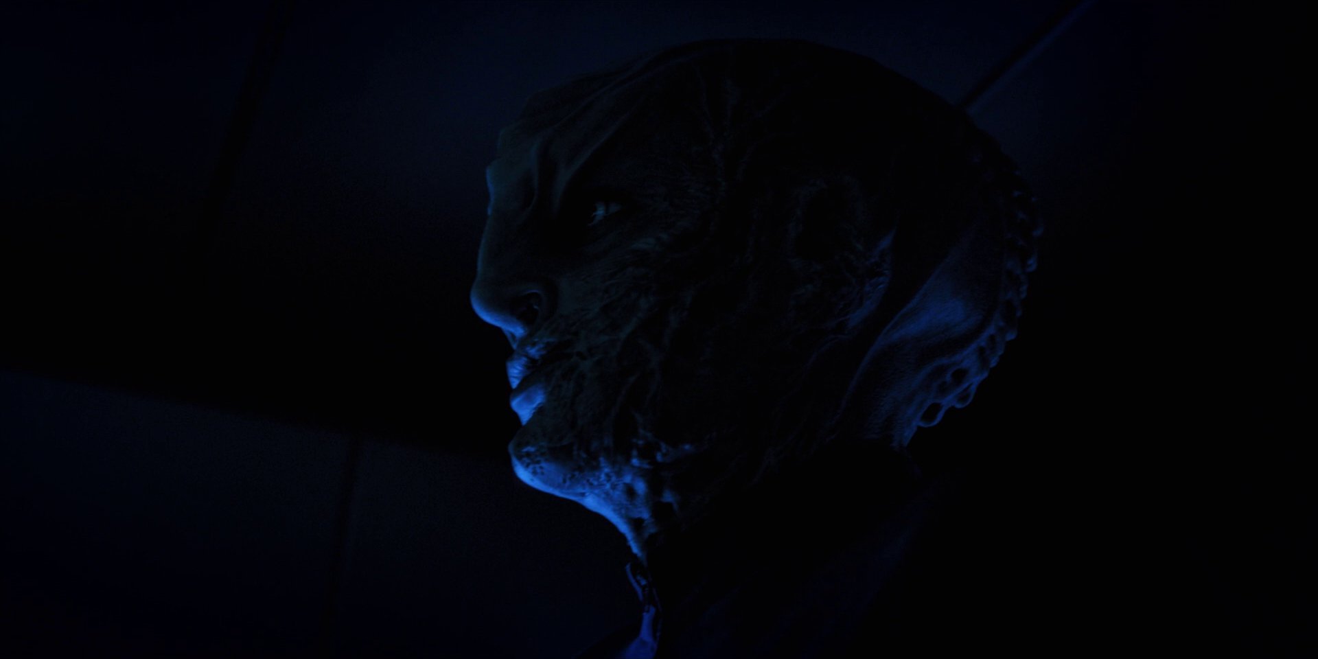 extant_StarTrekDiscovery_1x12-VaultingAmbition_2133.jpg