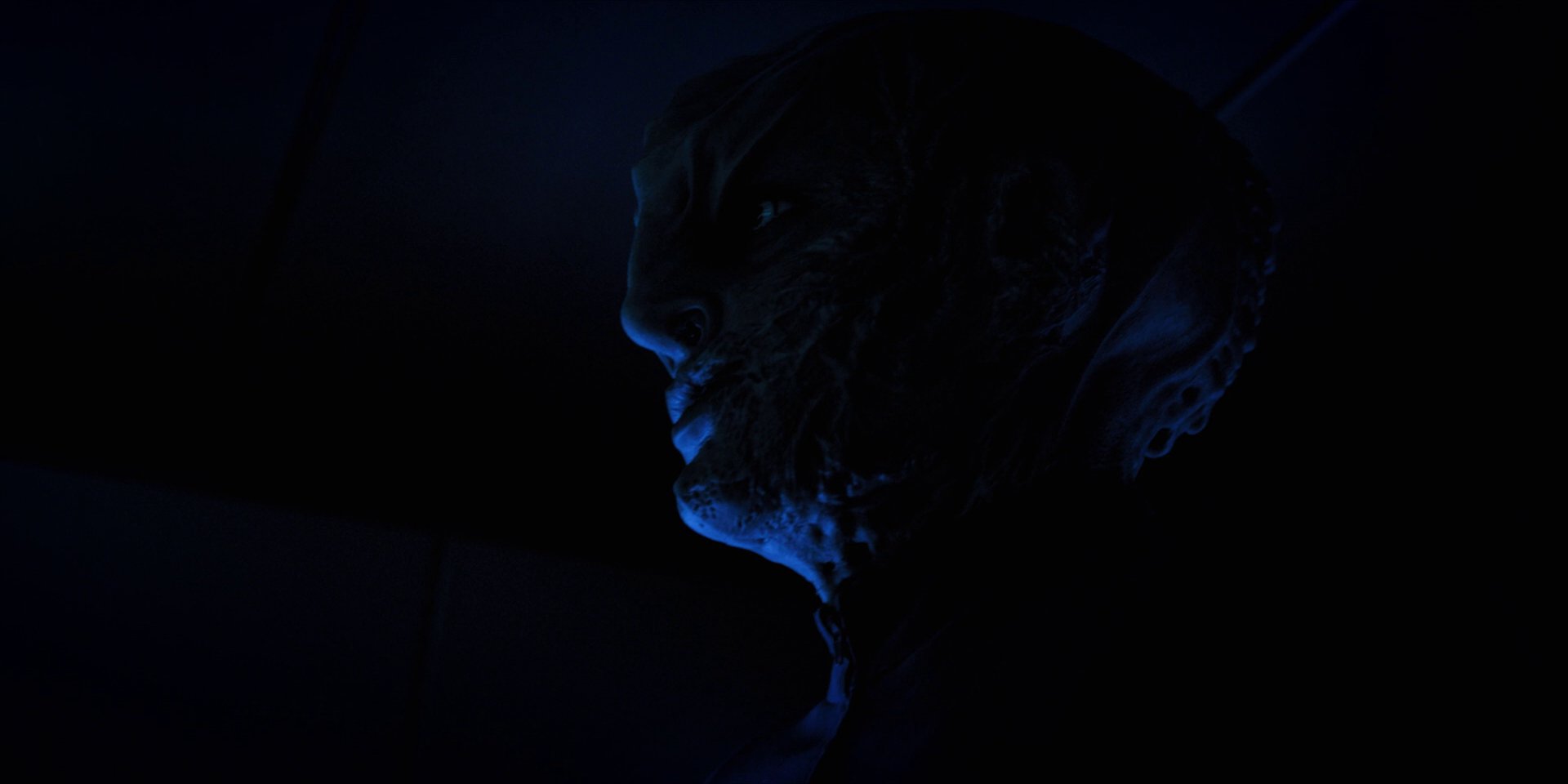 extant_StarTrekDiscovery_1x12-VaultingAmbition_2134.jpg