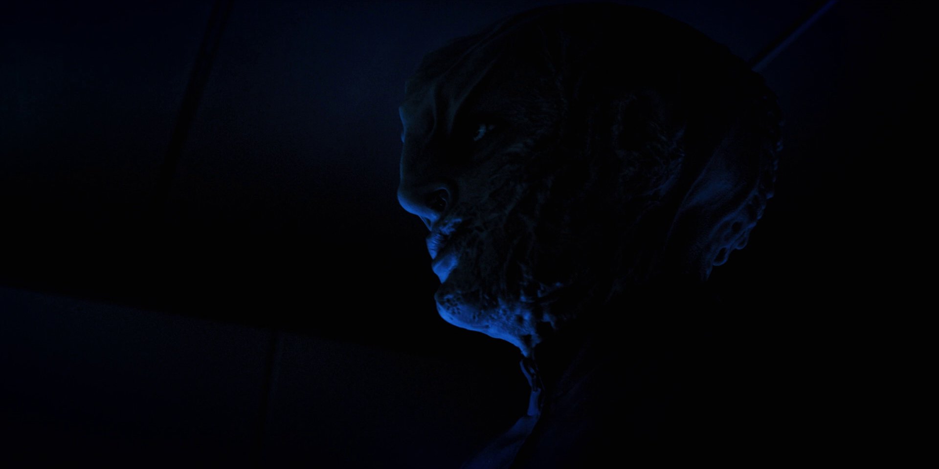 extant_StarTrekDiscovery_1x12-VaultingAmbition_2135.jpg