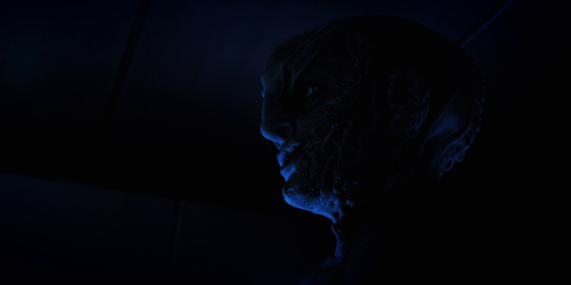 extant_StarTrekDiscovery_1x12-VaultingAmbition_2137.jpg