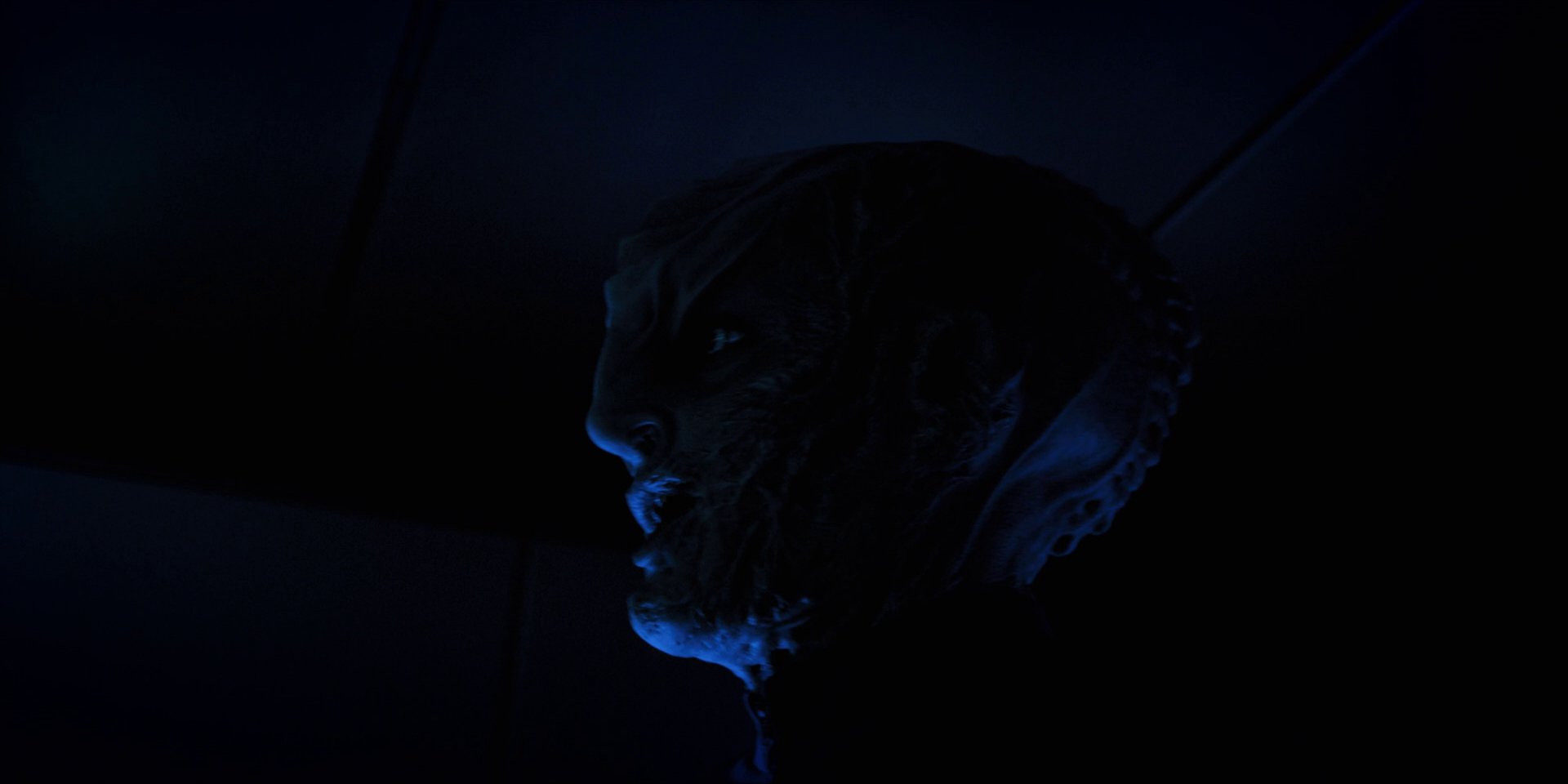 extant_StarTrekDiscovery_1x12-VaultingAmbition_2139.jpg
