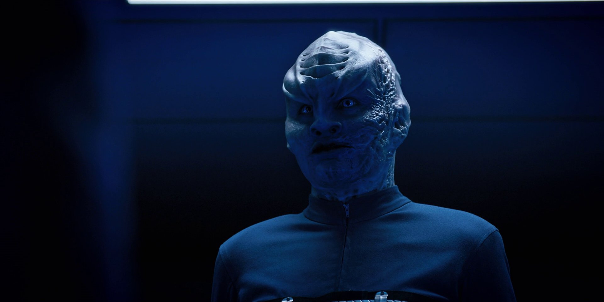 extant_StarTrekDiscovery_1x12-VaultingAmbition_2182.jpg