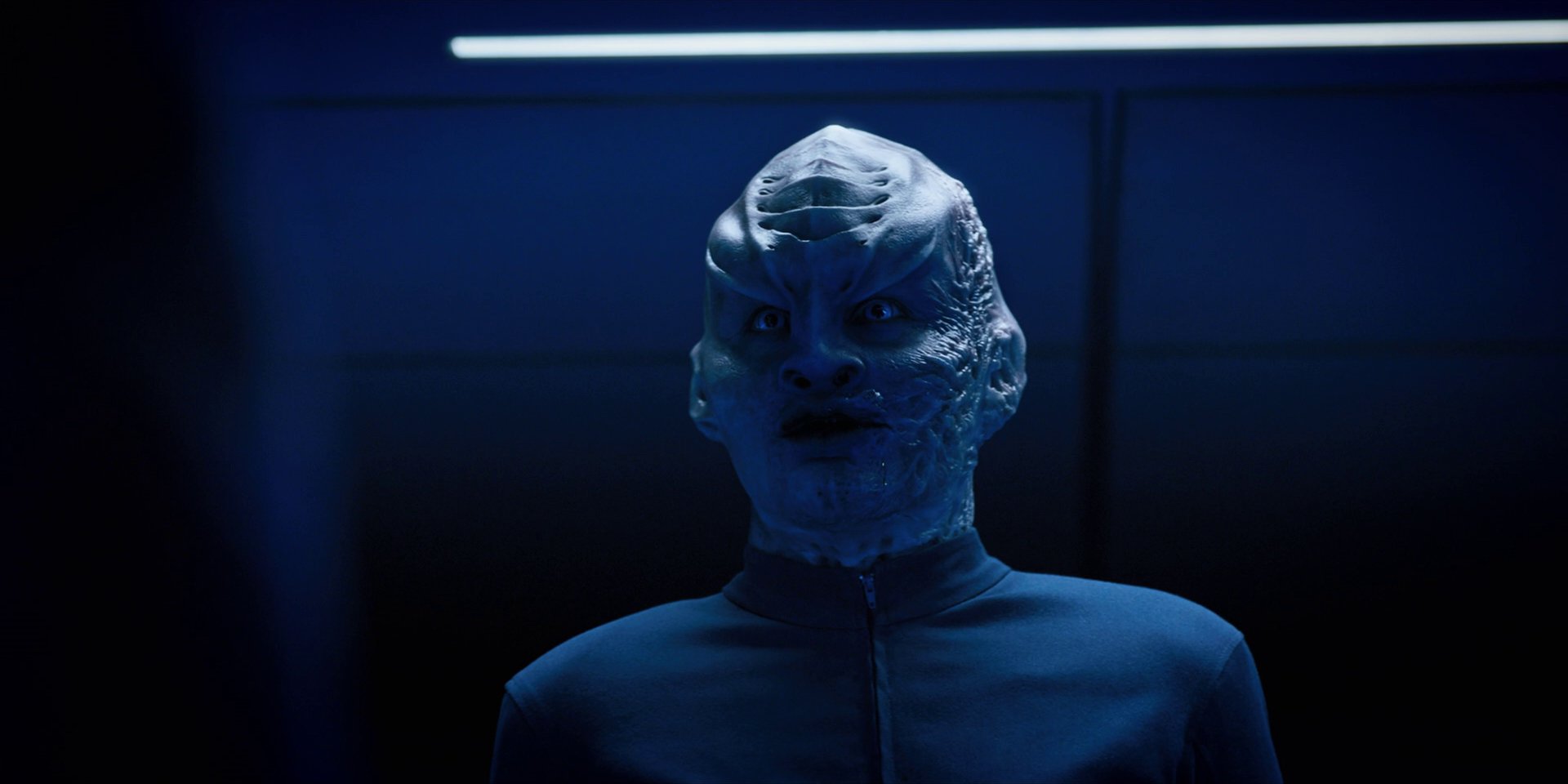extant_StarTrekDiscovery_1x12-VaultingAmbition_2237.jpg
