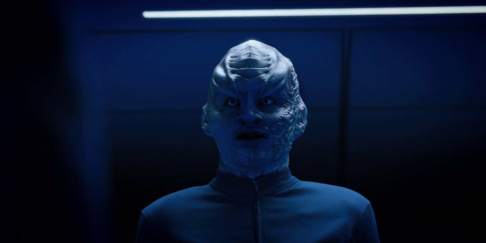 extant_StarTrekDiscovery_1x12-VaultingAmbition_2239.jpg