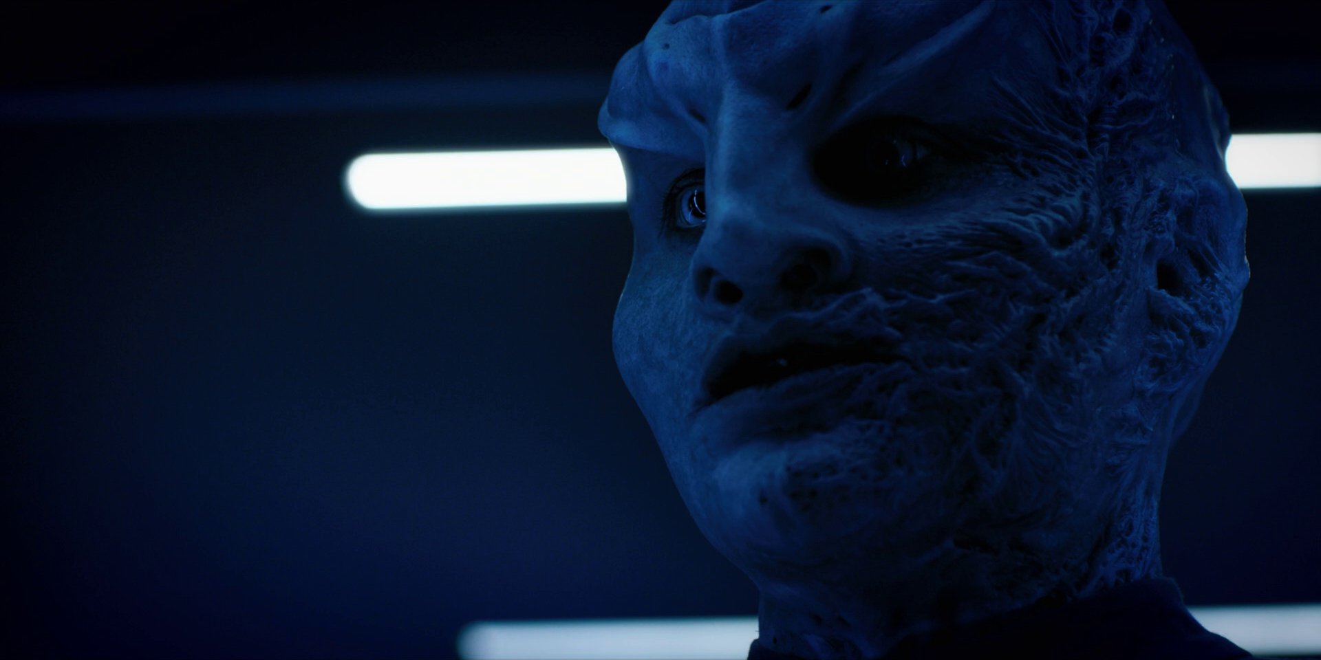 extant_StarTrekDiscovery_1x12-VaultingAmbition_2271.jpg