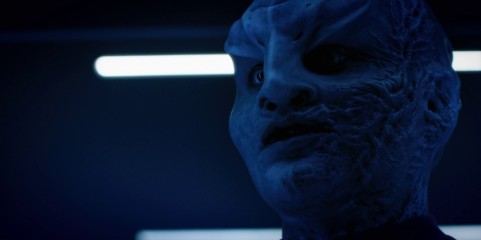 extant_StarTrekDiscovery_1x12-VaultingAmbition_2273.jpg