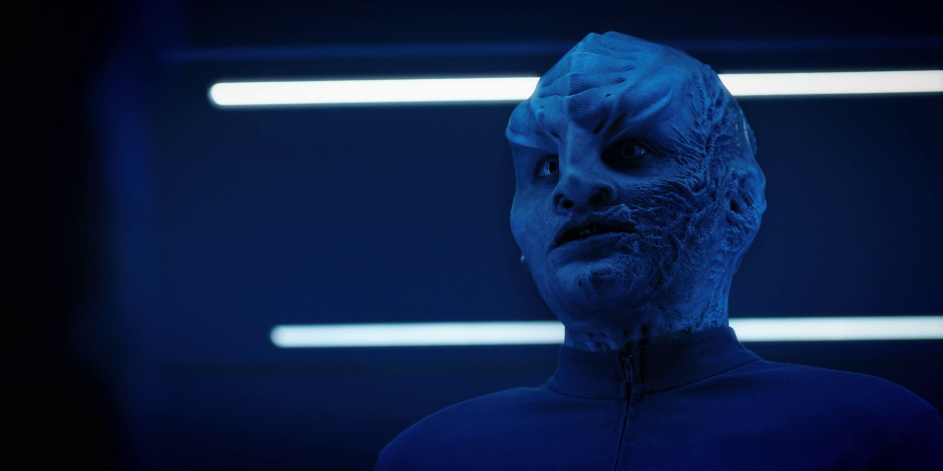 extant_StarTrekDiscovery_1x12-VaultingAmbition_2284.jpg