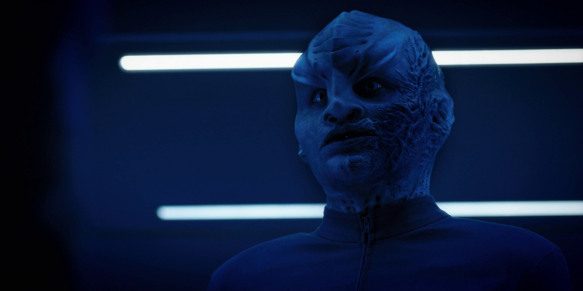 extant_StarTrekDiscovery_1x12-VaultingAmbition_2301.jpg
