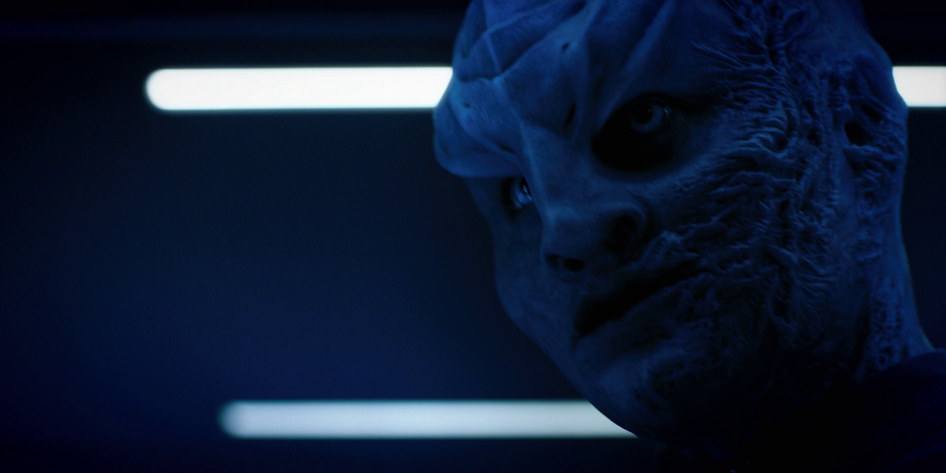 extant_StarTrekDiscovery_1x12-VaultingAmbition_2315.jpg