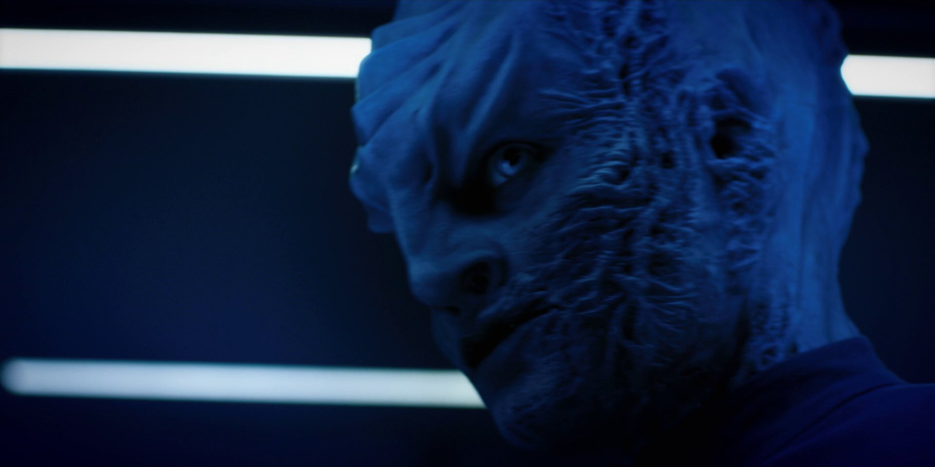 extant_StarTrekDiscovery_1x12-VaultingAmbition_2316.jpg