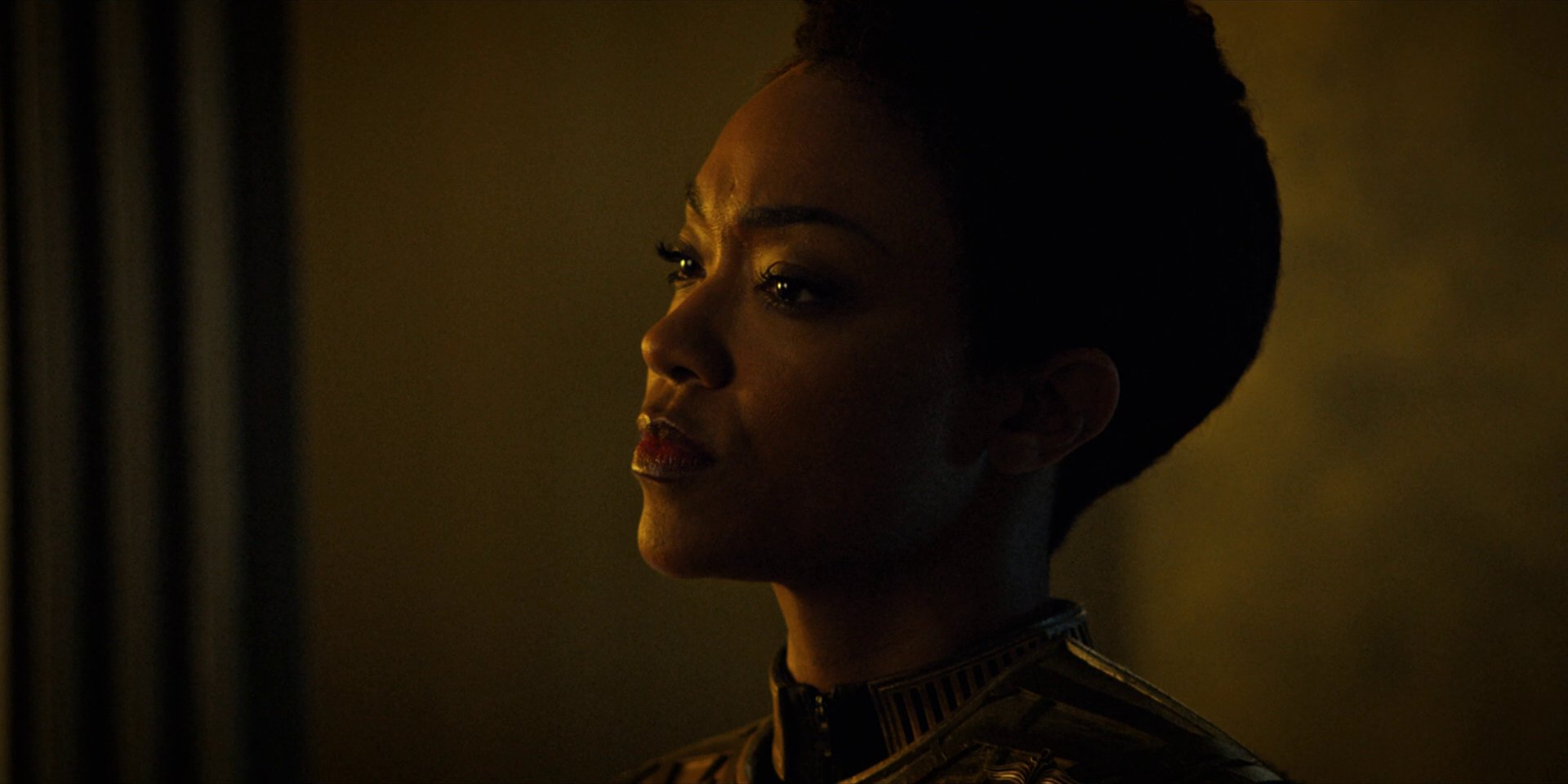 extant_StarTrekDiscovery_1x12-VaultingAmbition_2718.jpg