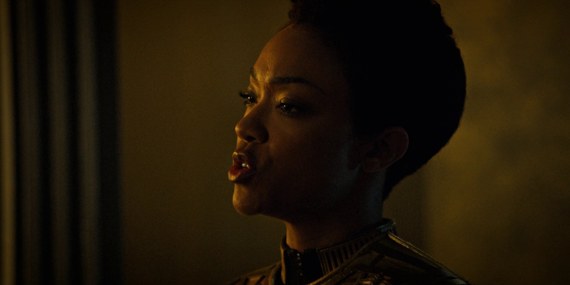 extant_StarTrekDiscovery_1x12-VaultingAmbition_2719.jpg