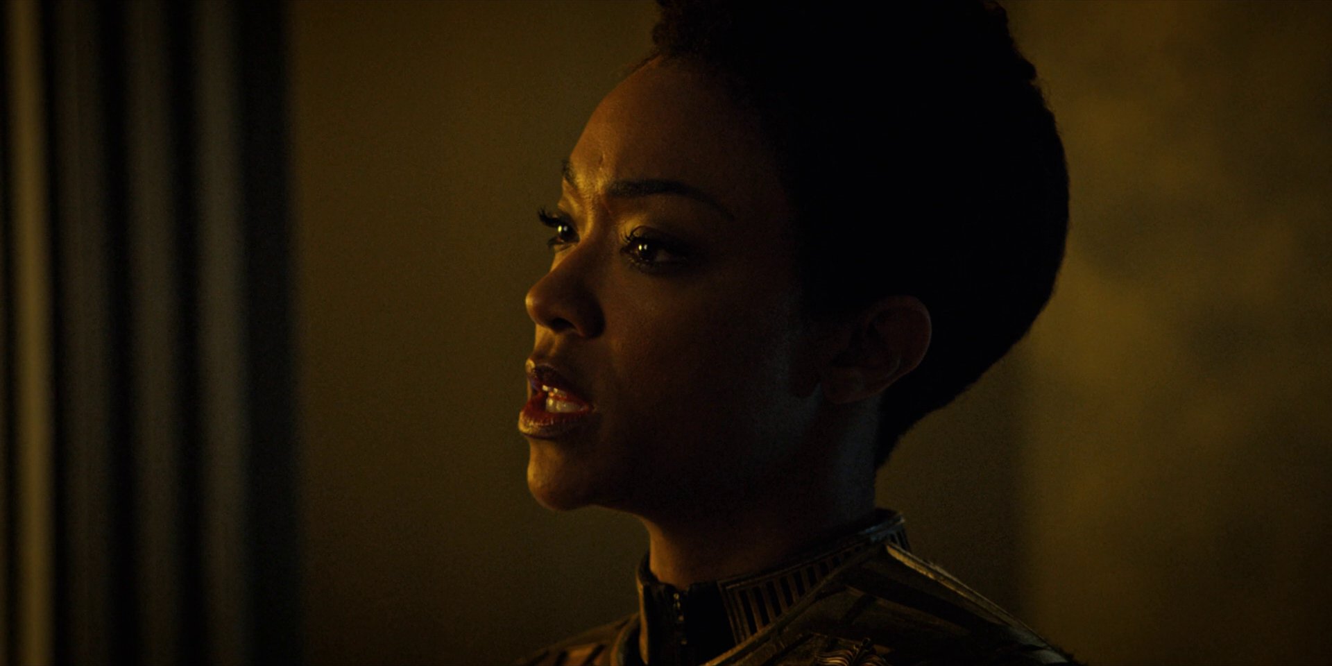 extant_StarTrekDiscovery_1x12-VaultingAmbition_2720.jpg