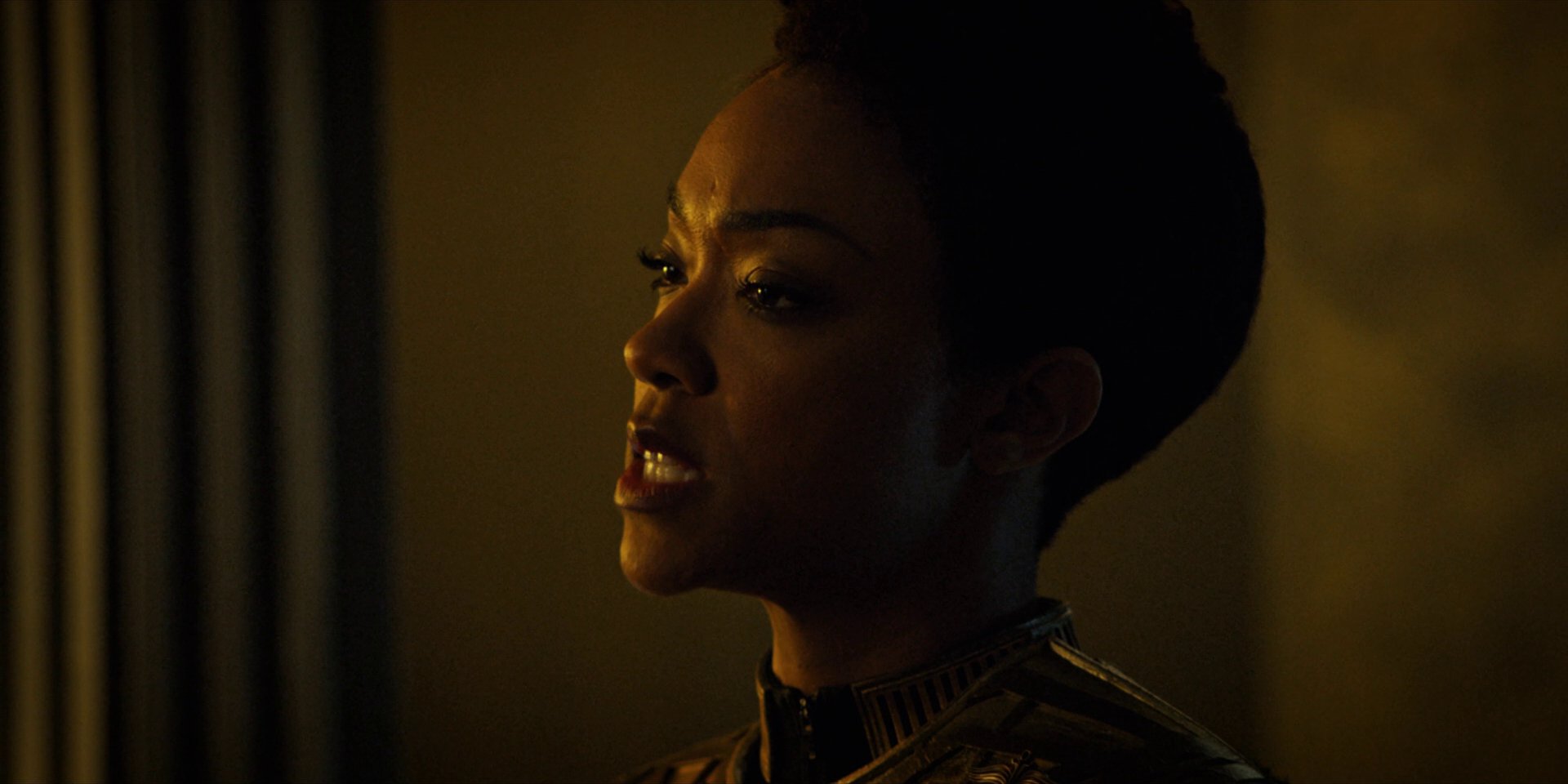 extant_StarTrekDiscovery_1x12-VaultingAmbition_2721.jpg