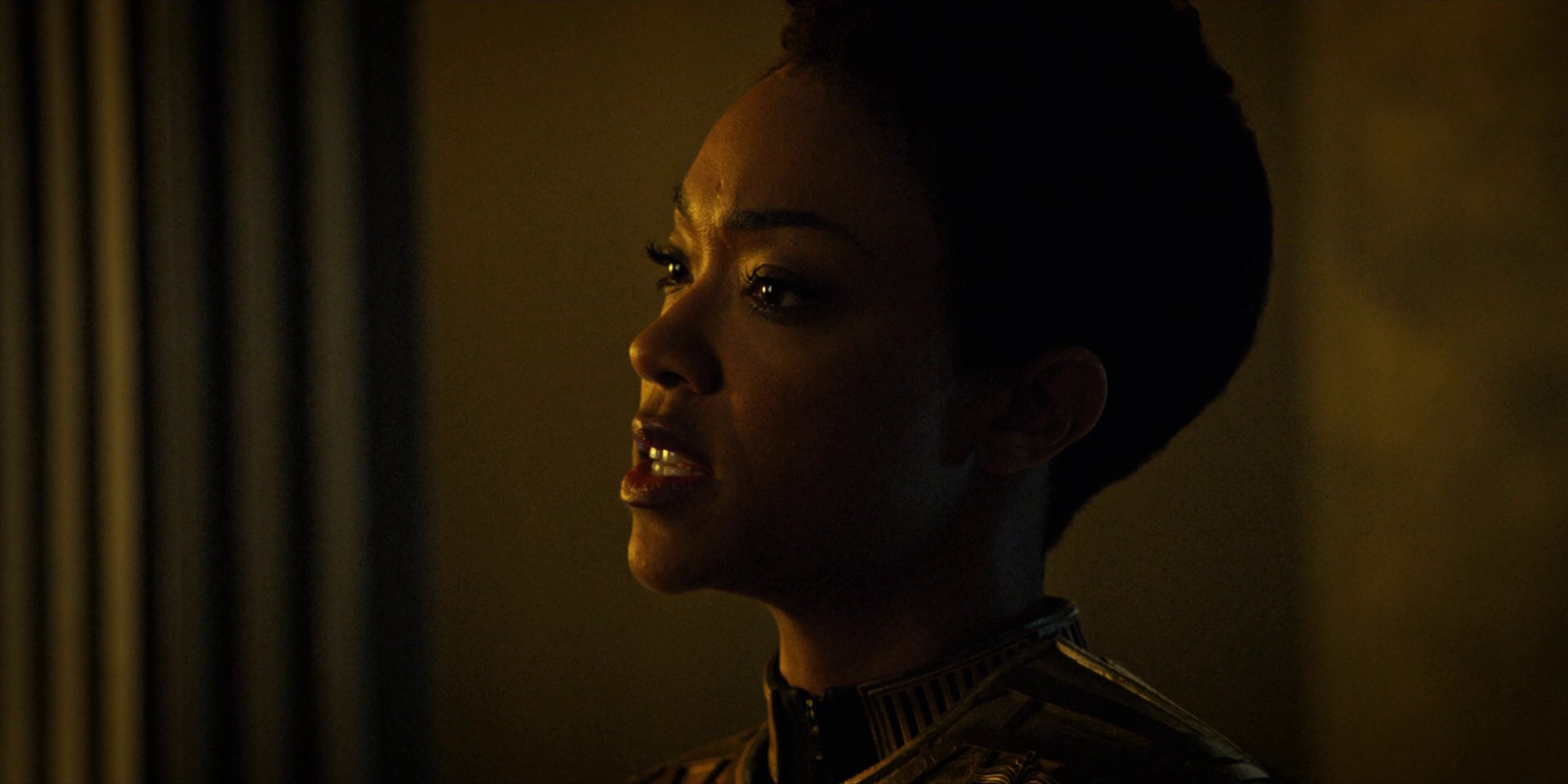 extant_StarTrekDiscovery_1x12-VaultingAmbition_2722.jpg
