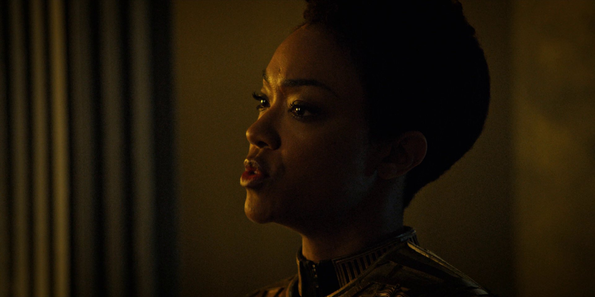 extant_StarTrekDiscovery_1x12-VaultingAmbition_2723.jpg