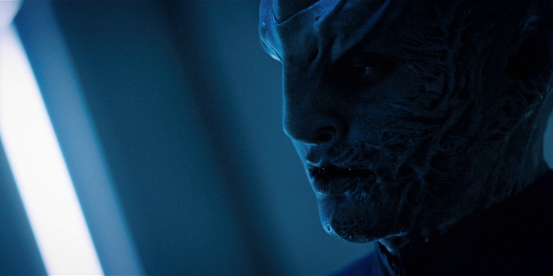extant_StarTrekDiscovery_1x12-VaultingAmbition_3161.jpg