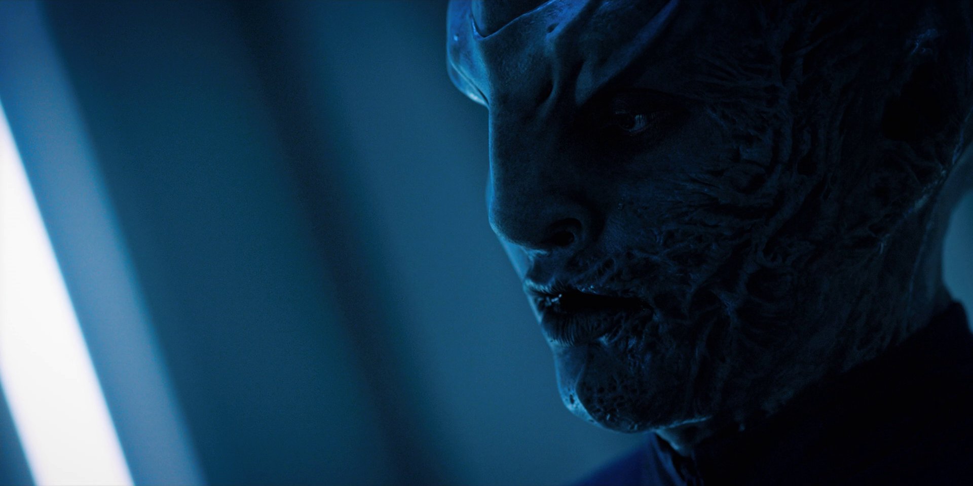 extant_StarTrekDiscovery_1x12-VaultingAmbition_3162.jpg