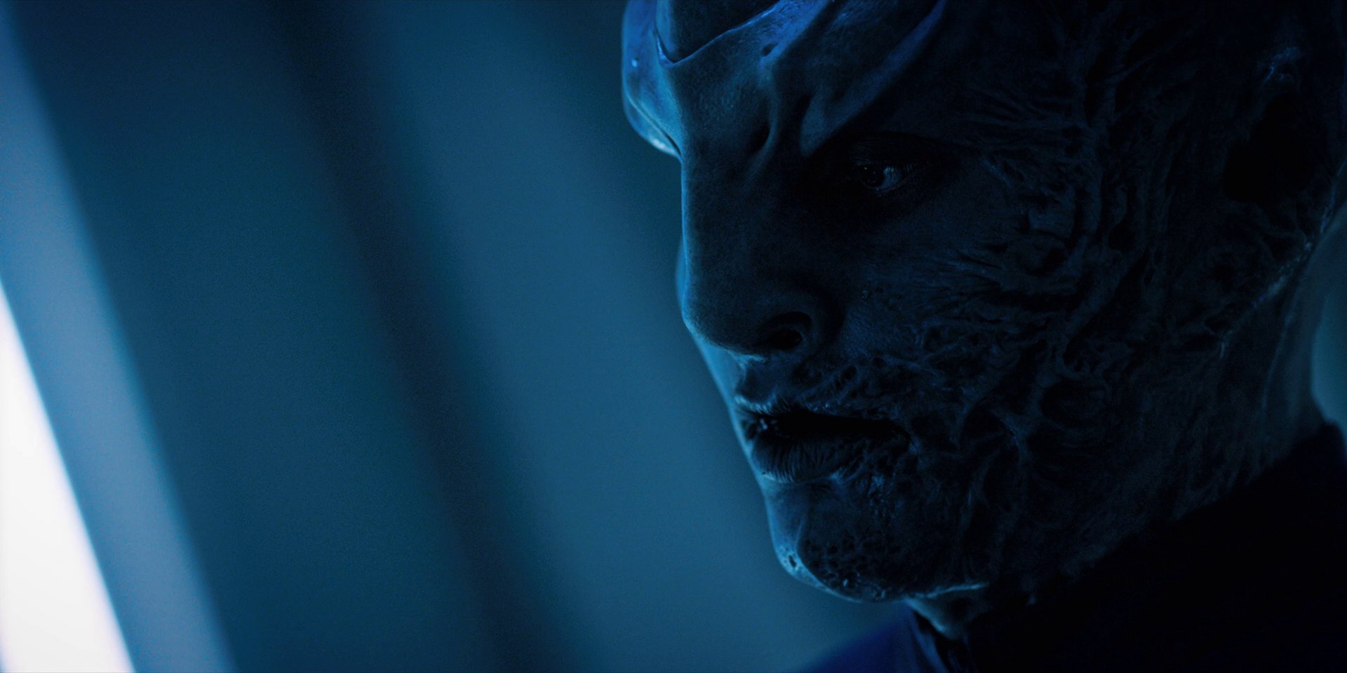 extant_StarTrekDiscovery_1x12-VaultingAmbition_3163.jpg