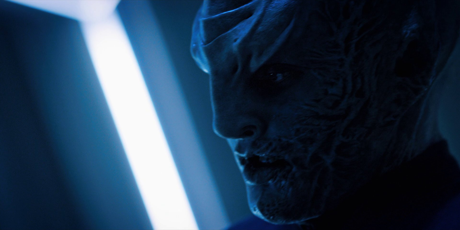 extant_StarTrekDiscovery_1x12-VaultingAmbition_3247.jpg