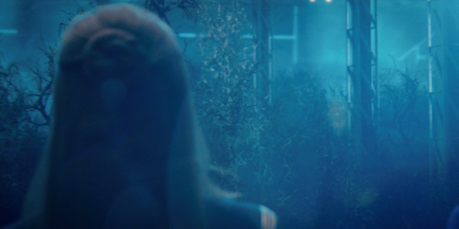 extant_StarTrekDiscovery_1x12-VaultingAmbition_3628.jpg