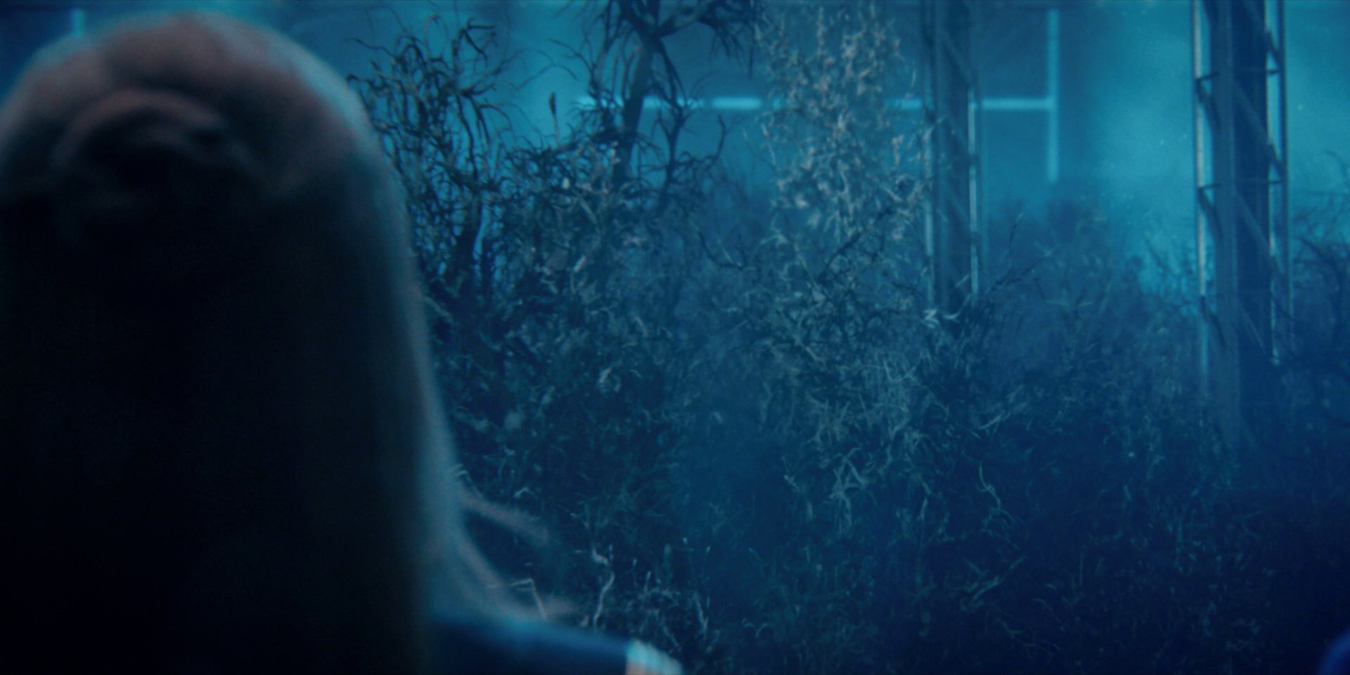 extant_StarTrekDiscovery_1x12-VaultingAmbition_3631.jpg