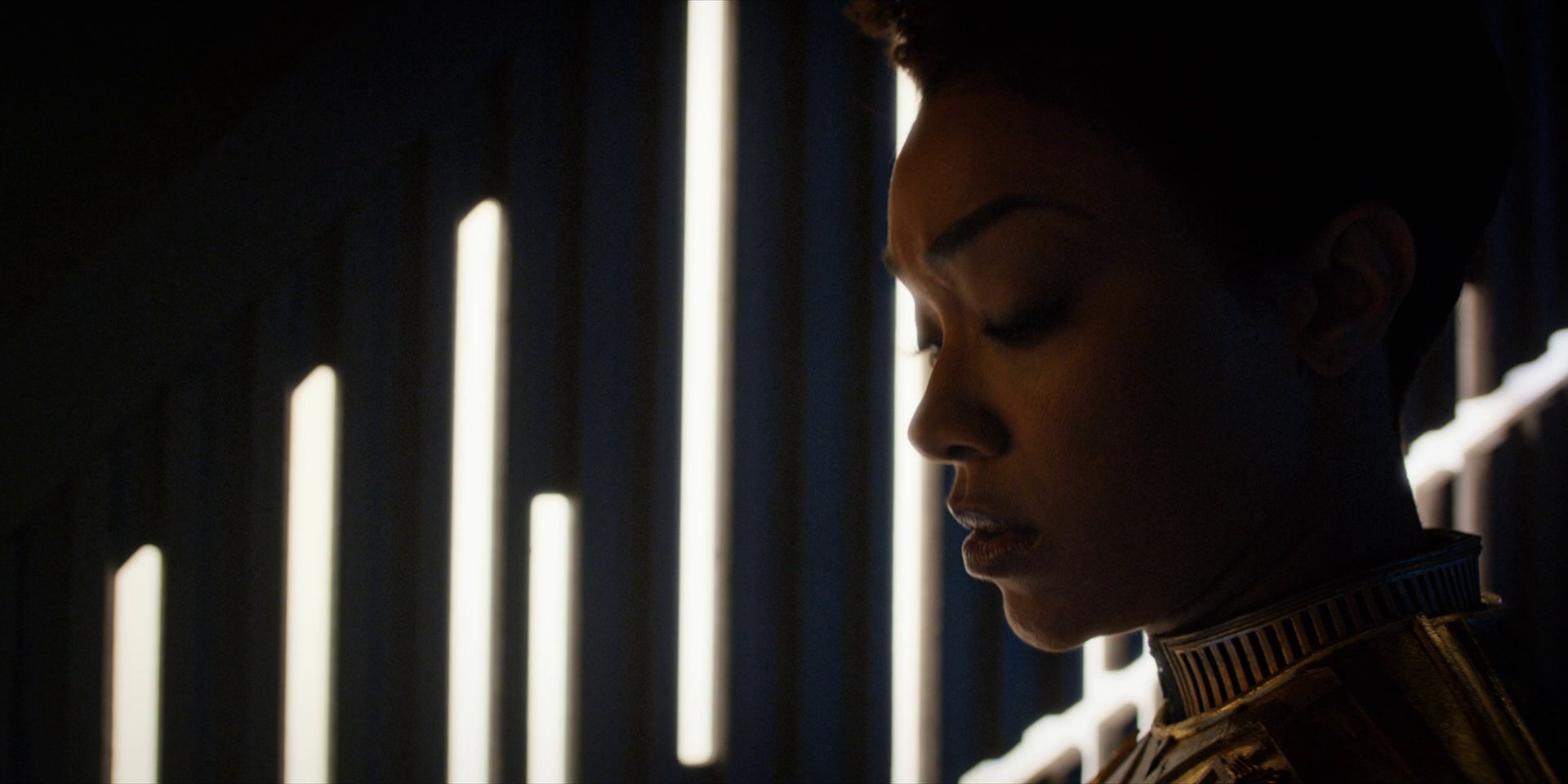 extant_StarTrekDiscovery_1x12-VaultingAmbition_3667.jpg