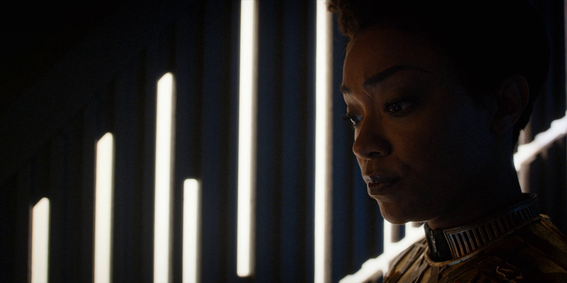 extant_StarTrekDiscovery_1x12-VaultingAmbition_3671.jpg
