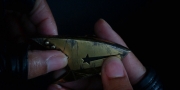 Filename=extant_StarTrekDiscovery_1x12-VaultingAmbition_0277.jpg
Filesize=101KiB
Dimensions=1920x960
Date added=Jan 02, 2019 extant_StarTrekDiscovery_1x12-VaultingAmbition_0277.jpg
