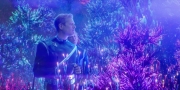 extant_StarTrekDiscovery_1x12-VaultingAmbition_0736.jpg