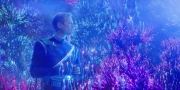 extant_StarTrekDiscovery_1x12-VaultingAmbition_0737.jpg