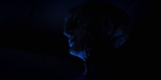 Filename=extant_StarTrekDiscovery_1x12-VaultingAmbition_2134.jpg
Filesize=48KiB
Dimensions=1920x960
Date added=Jan 02, 2019 extant_StarTrekDiscovery_1x12-VaultingAmbition_2134.jpg