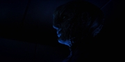 Filename=extant_StarTrekDiscovery_1x12-VaultingAmbition_2135.jpg
Filesize=51KiB
Dimensions=1920x960
Date added=Jan 02, 2019 extant_StarTrekDiscovery_1x12-VaultingAmbition_2135.jpg