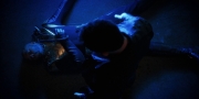 Filename=extant_StarTrekDiscovery_1x12-VaultingAmbition_3976.jpg
Filesize=122KiB
Dimensions=1920x960
Date added=Jan 02, 2019 extant_StarTrekDiscovery_1x12-VaultingAmbition_3976.jpg