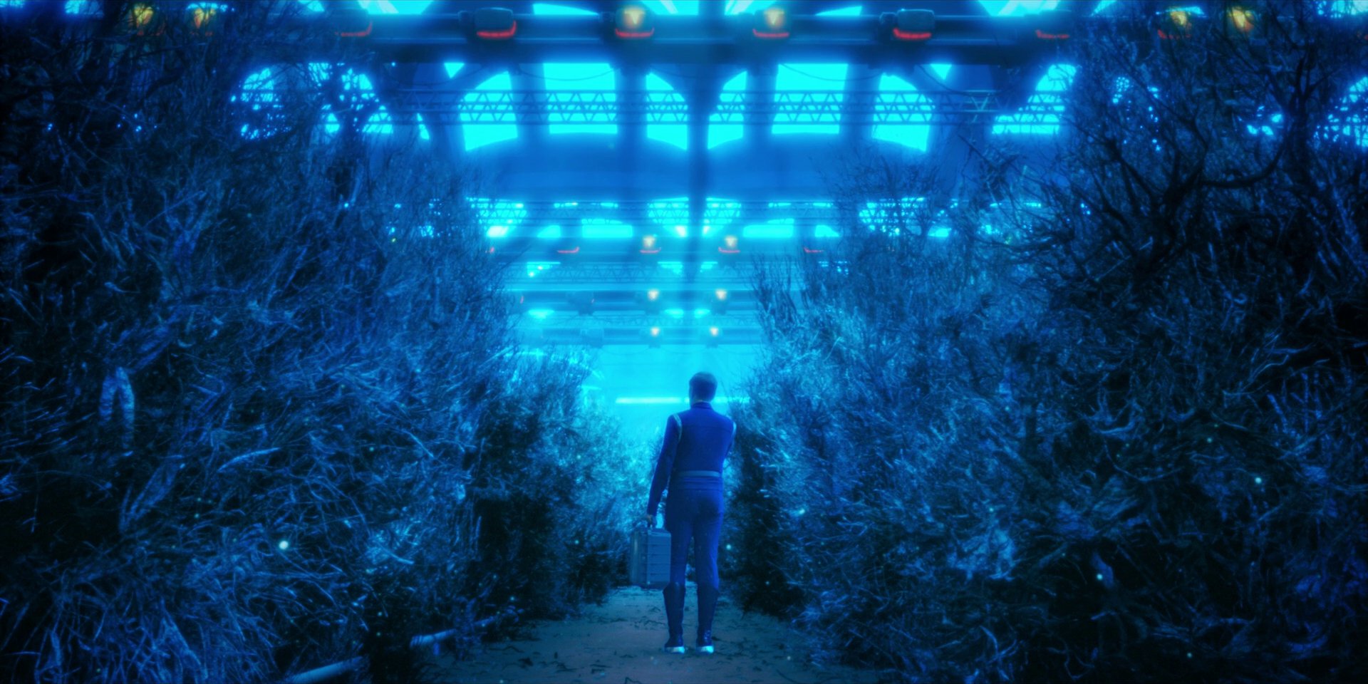 extant_StarTrekDiscovery_1x13-WhatsPastIsPrologue_0907.jpg