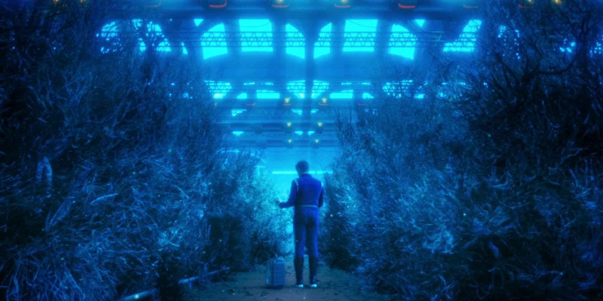 extant_StarTrekDiscovery_1x13-WhatsPastIsPrologue_0917.jpg