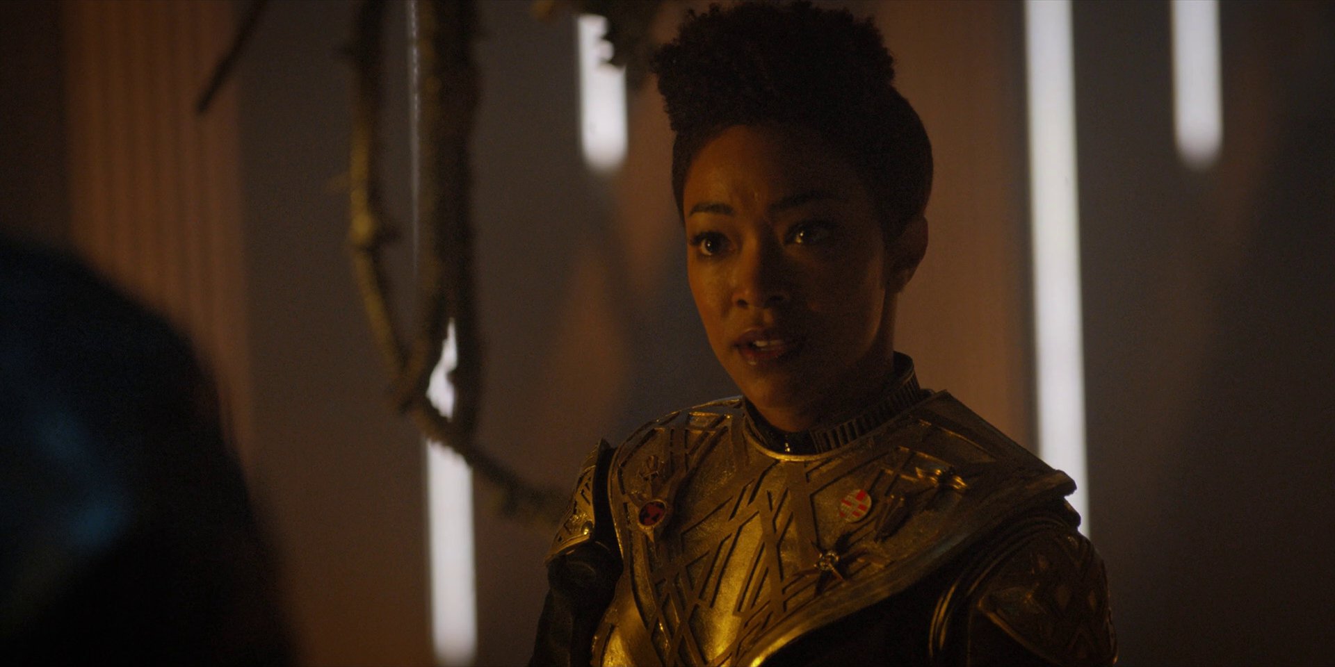 extant_StarTrekDiscovery_1x13-WhatsPastIsPrologue_3728.jpg