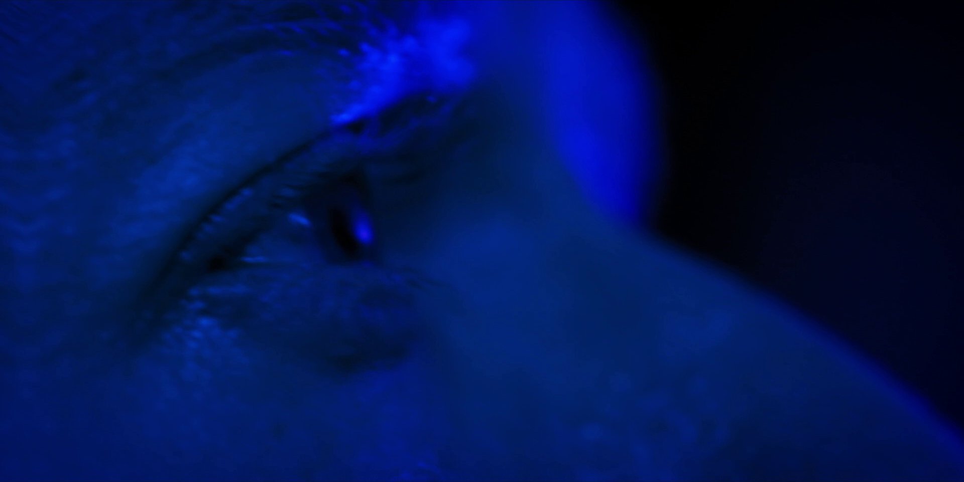 extant_StarTrekDiscovery_1x13-WhatsPastIsPrologue_4206.jpg