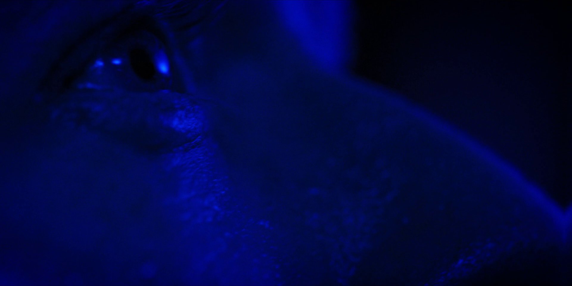 extant_StarTrekDiscovery_1x13-WhatsPastIsPrologue_4244.jpg