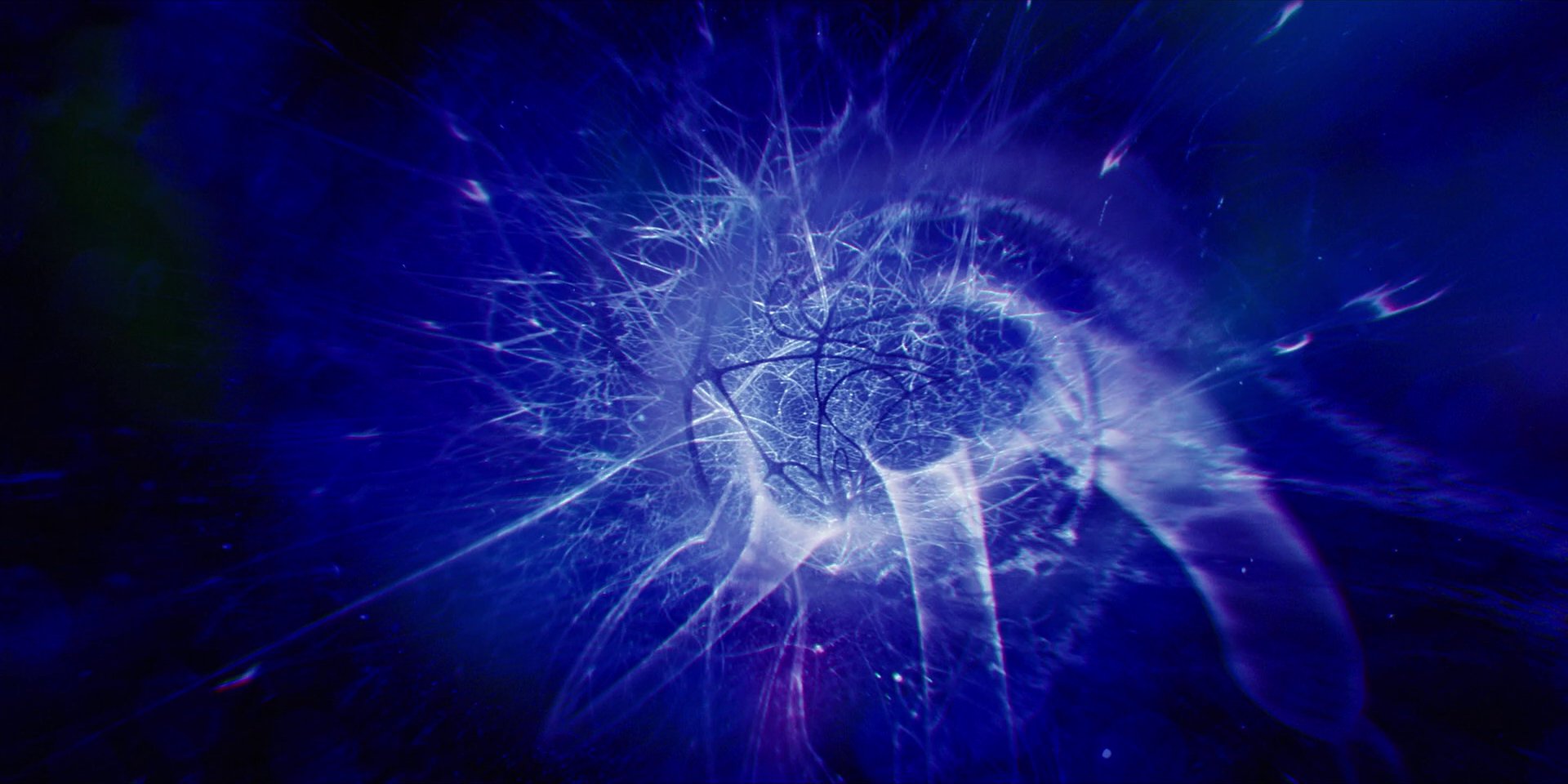 extant_StarTrekDiscovery_1x13-WhatsPastIsPrologue_4247.jpg