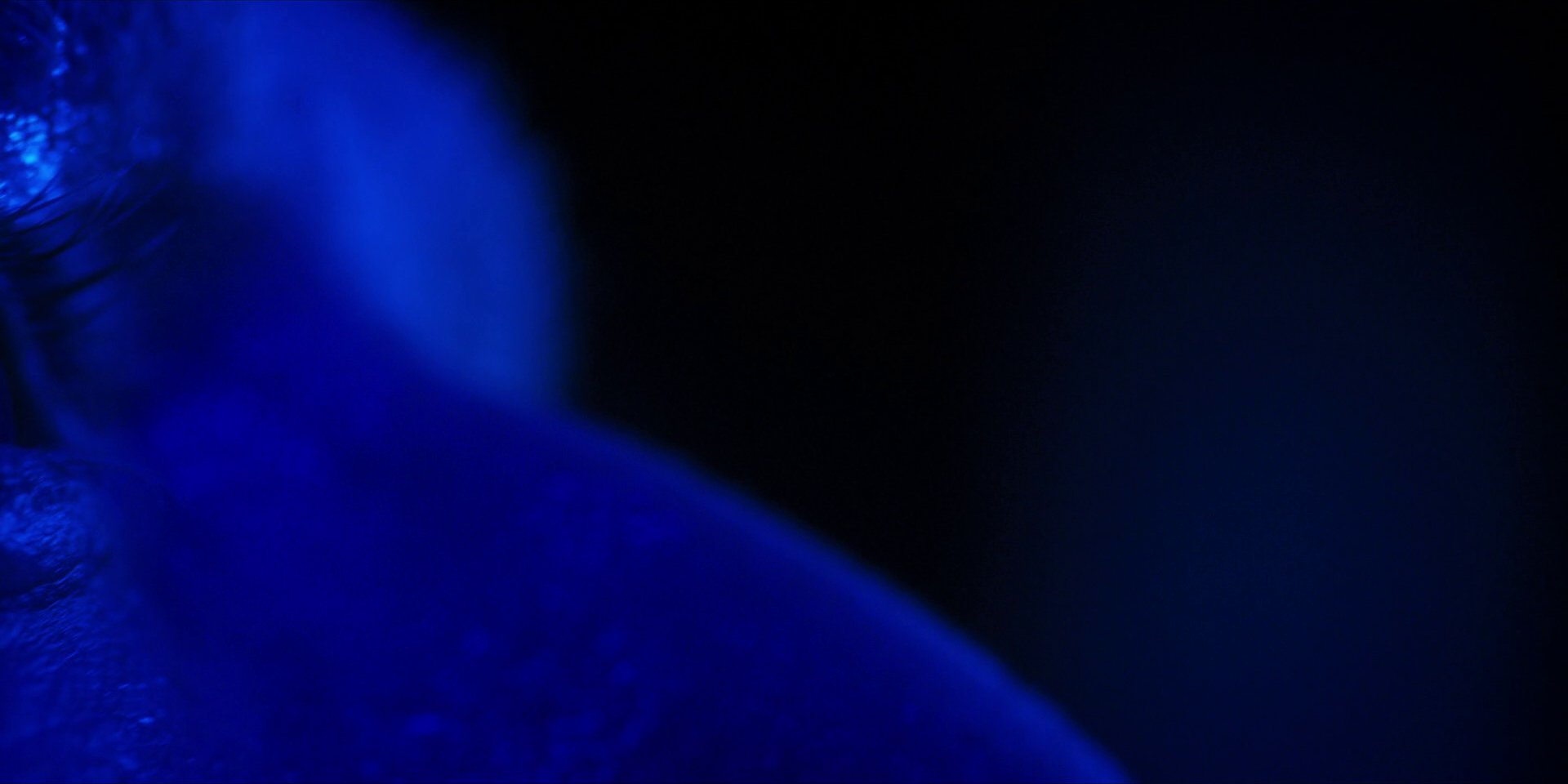 extant_StarTrekDiscovery_1x13-WhatsPastIsPrologue_4269.jpg