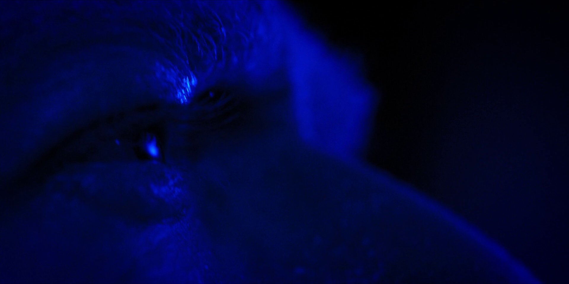 extant_StarTrekDiscovery_1x13-WhatsPastIsPrologue_4272.jpg